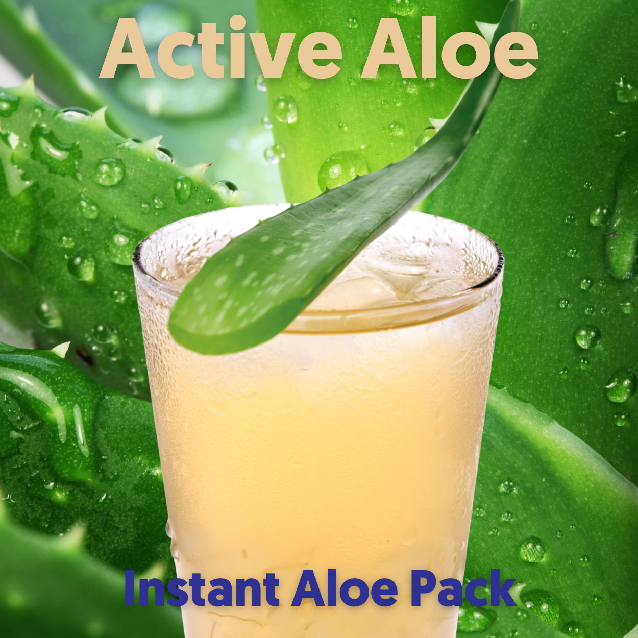 Organic ALOE Pack: Instant Active Aloe Mix, 2.52 Oz